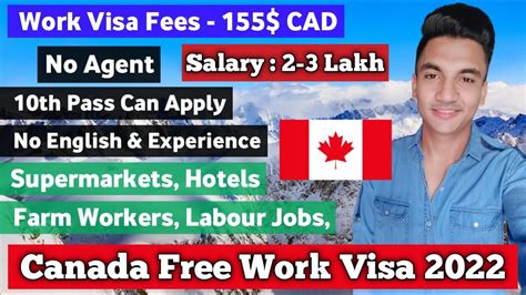 apknoon company|free visa job in canada jobs .